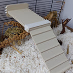 Rat ramp