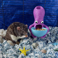 Octopus feeder