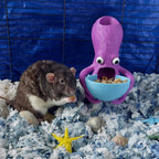 Octopus feeder