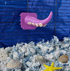 Tentacle perch