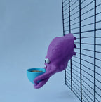 Octopus feeder