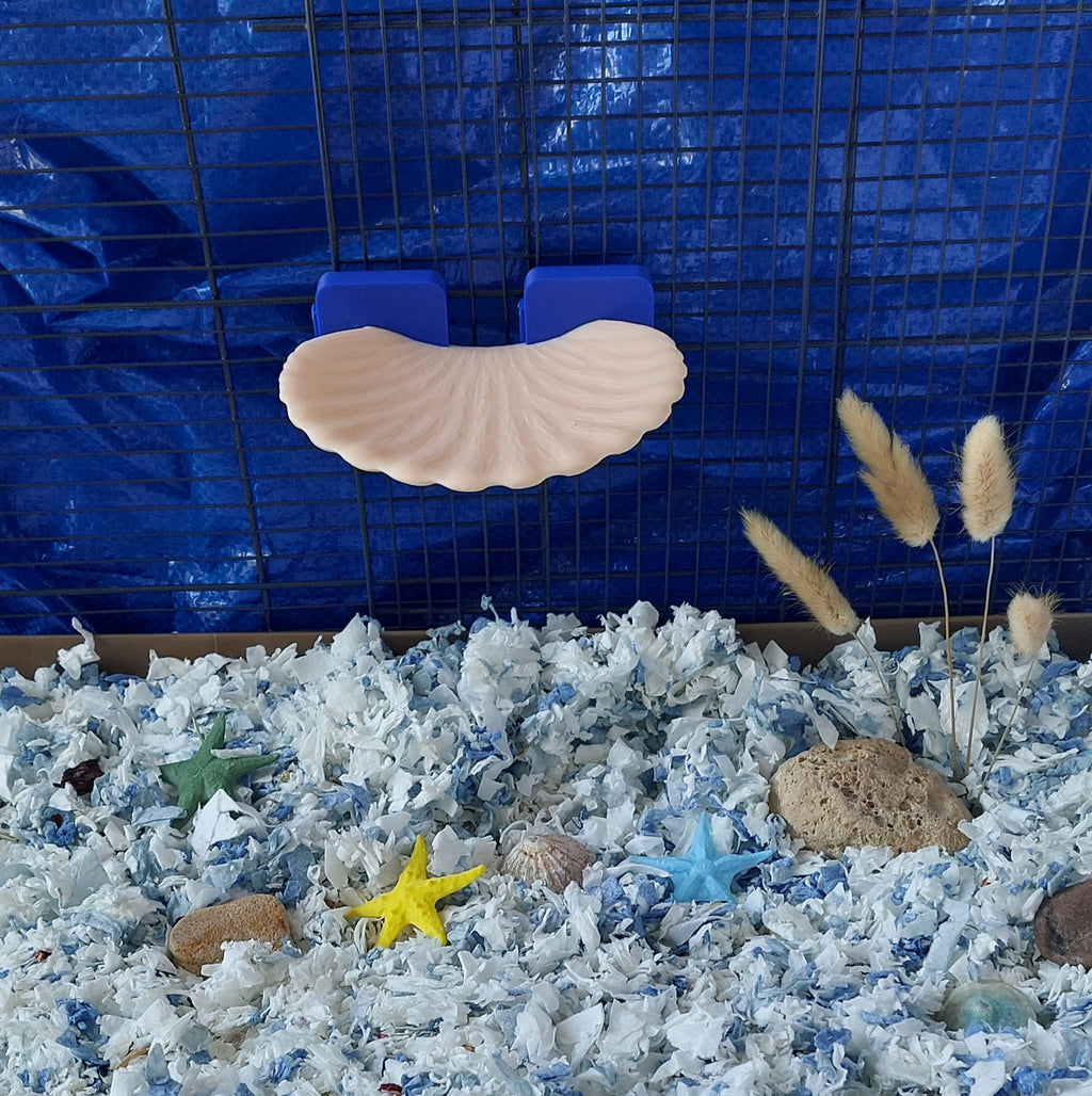 Seashell mounted platform