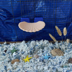 Seashell mounted platform