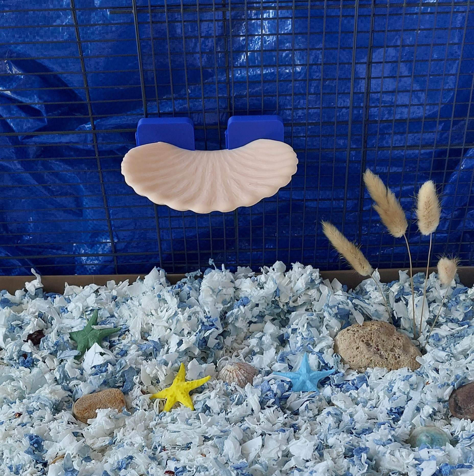 Seashell mounted platform