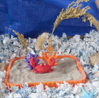 Crab and corals spray holder