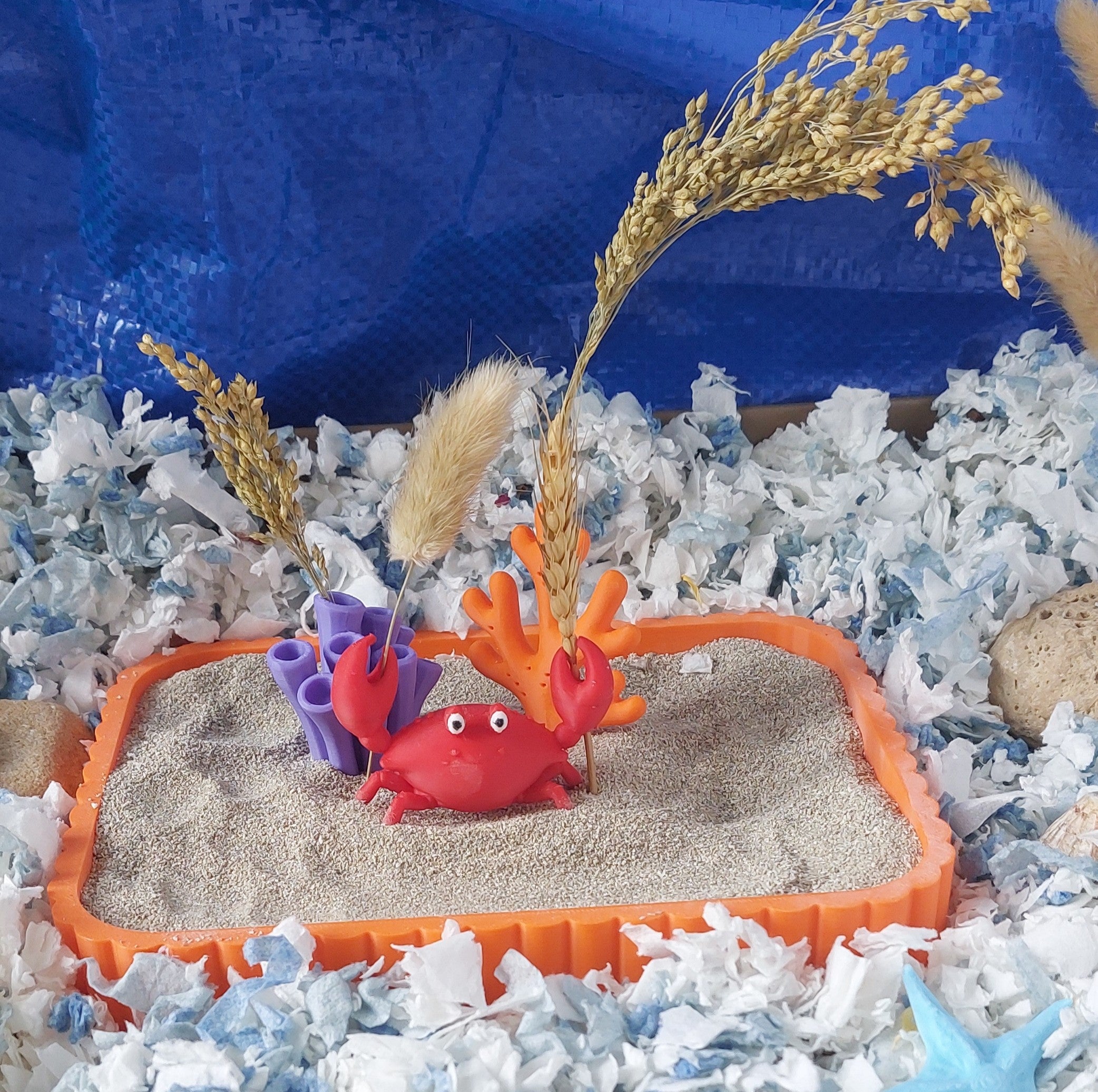 Crab and corals spray holder