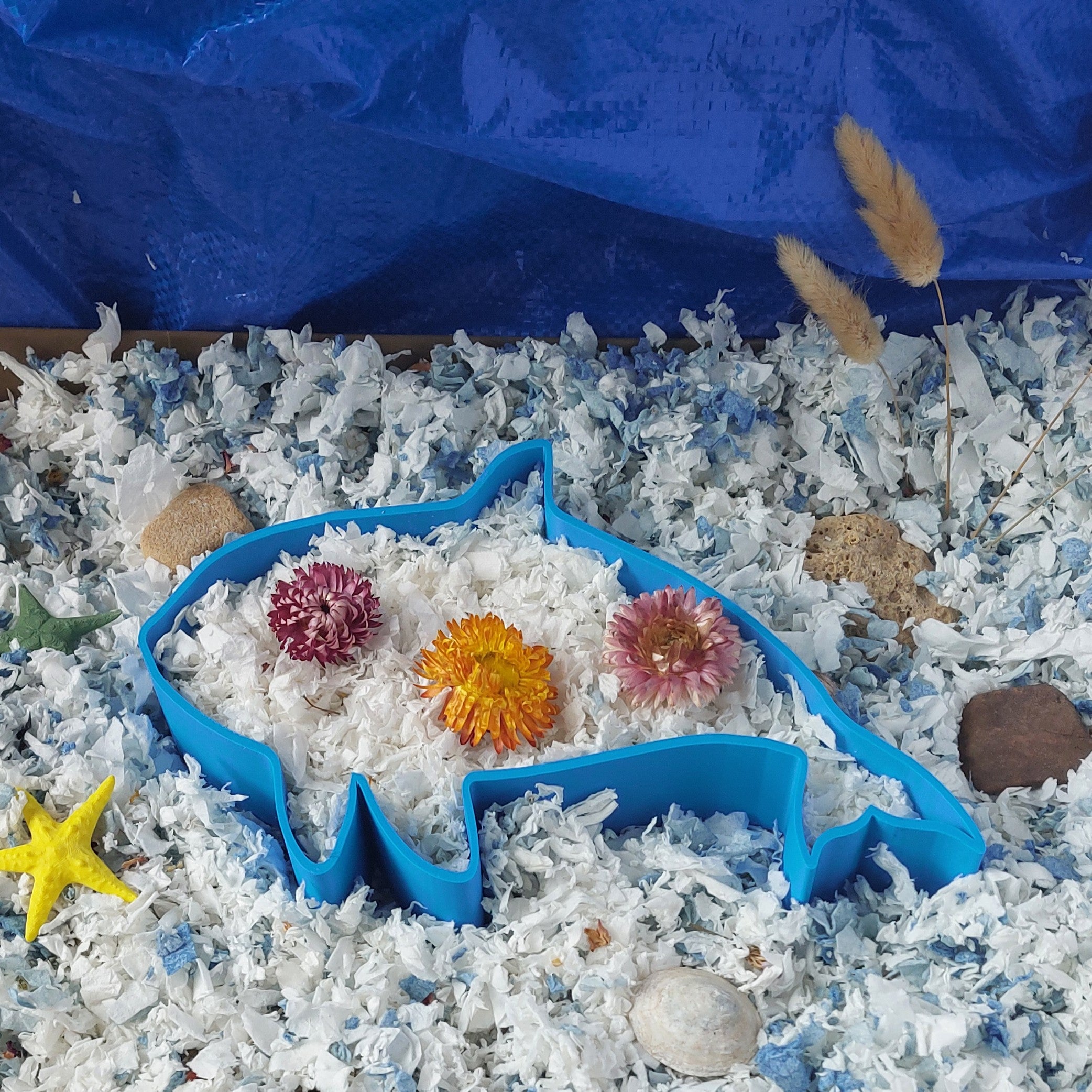 Whale dig box