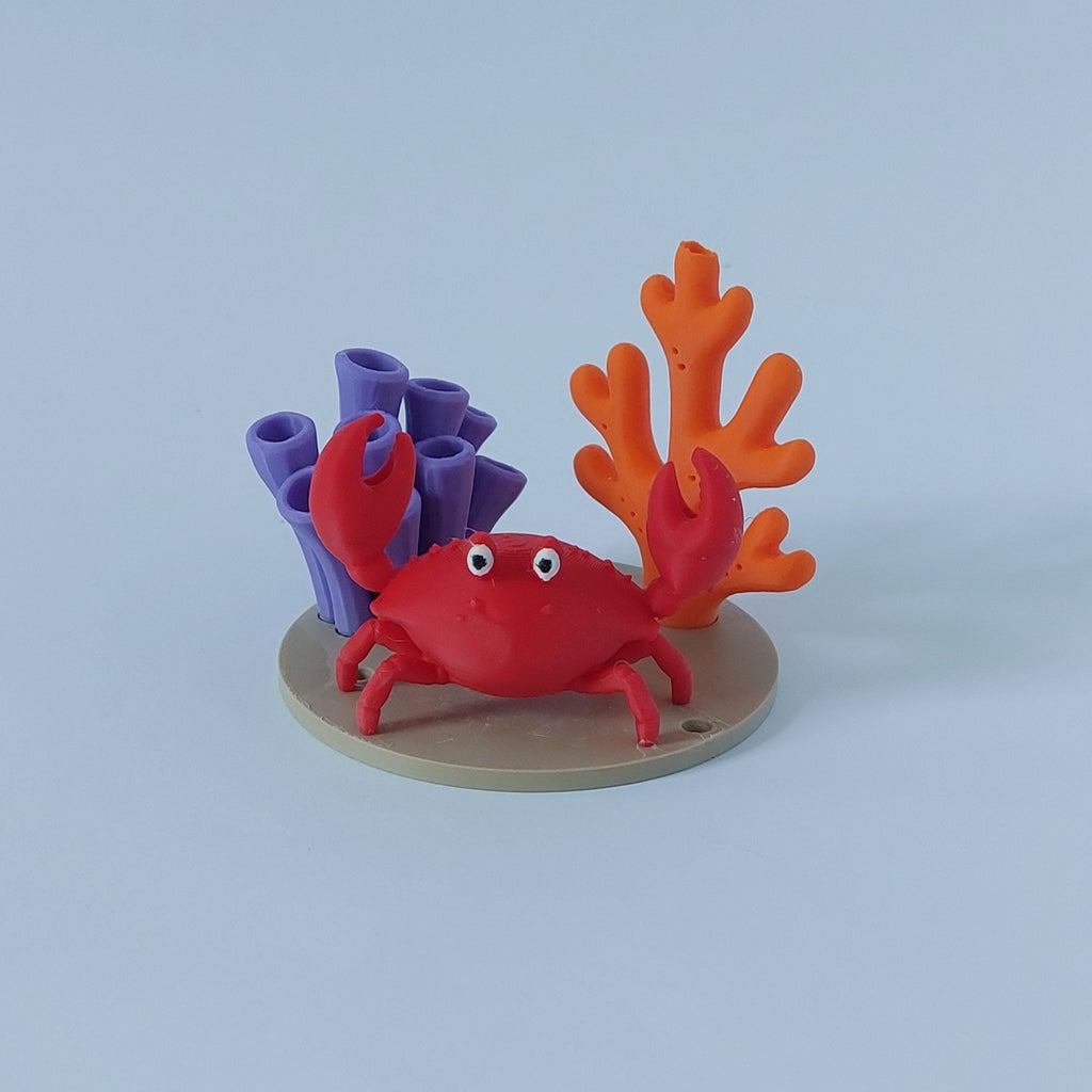 Crab and corals spray holder