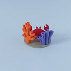 Crab and corals spray holder