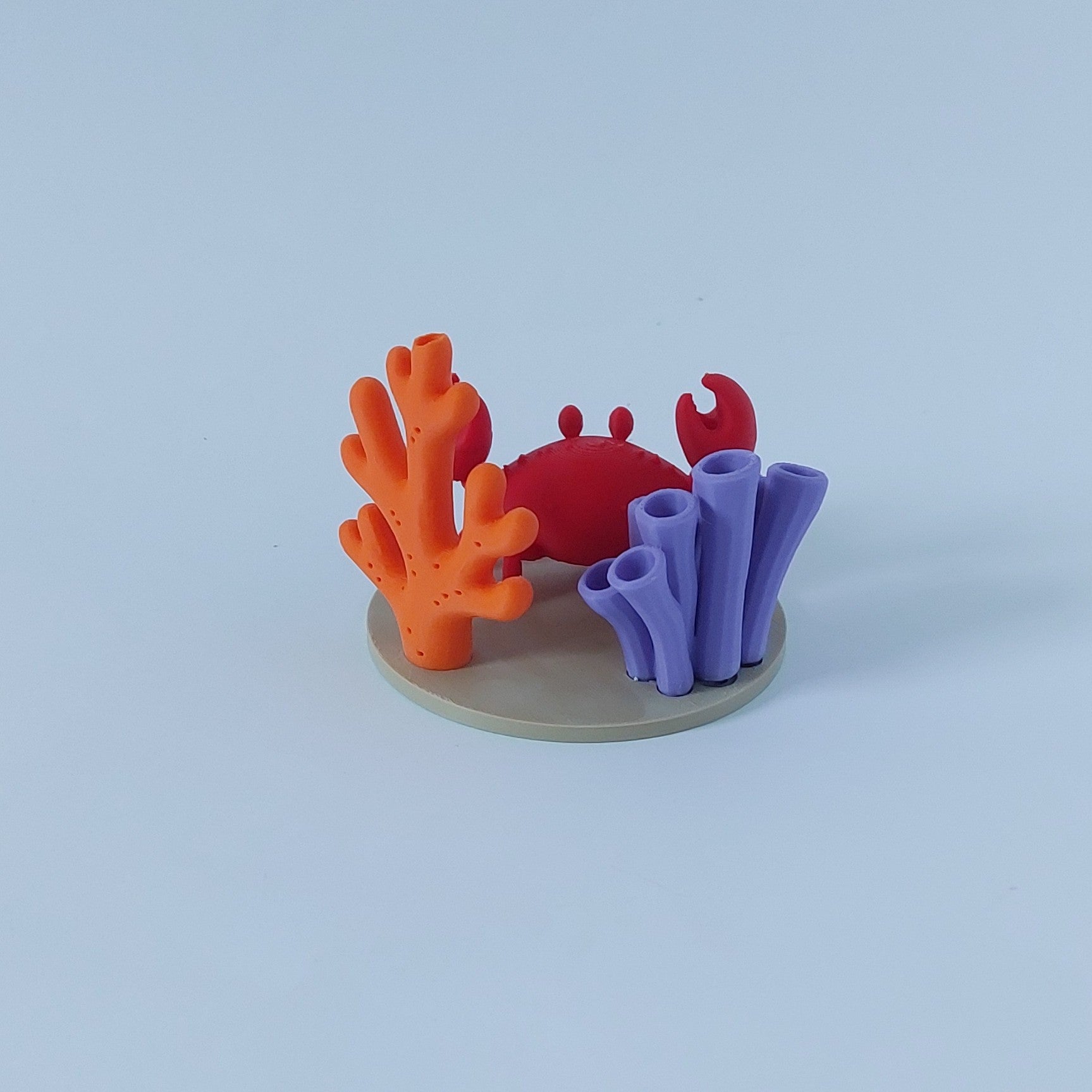 Crab and corals spray holder