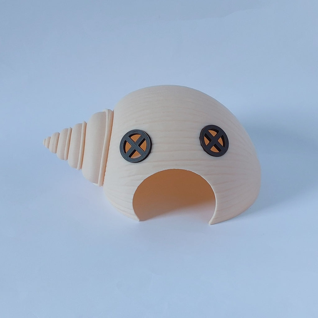 Seashell small animal hide