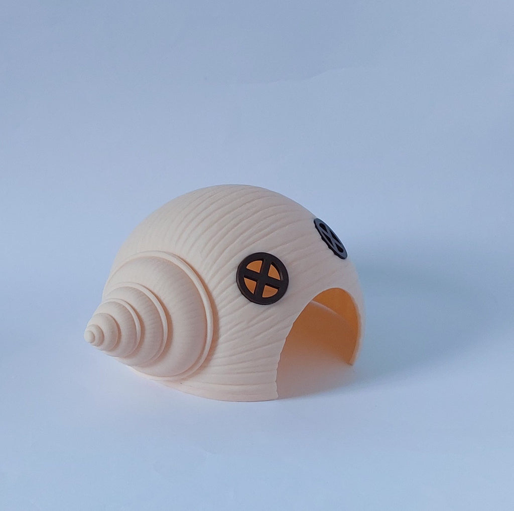 Seashell small animal hide
