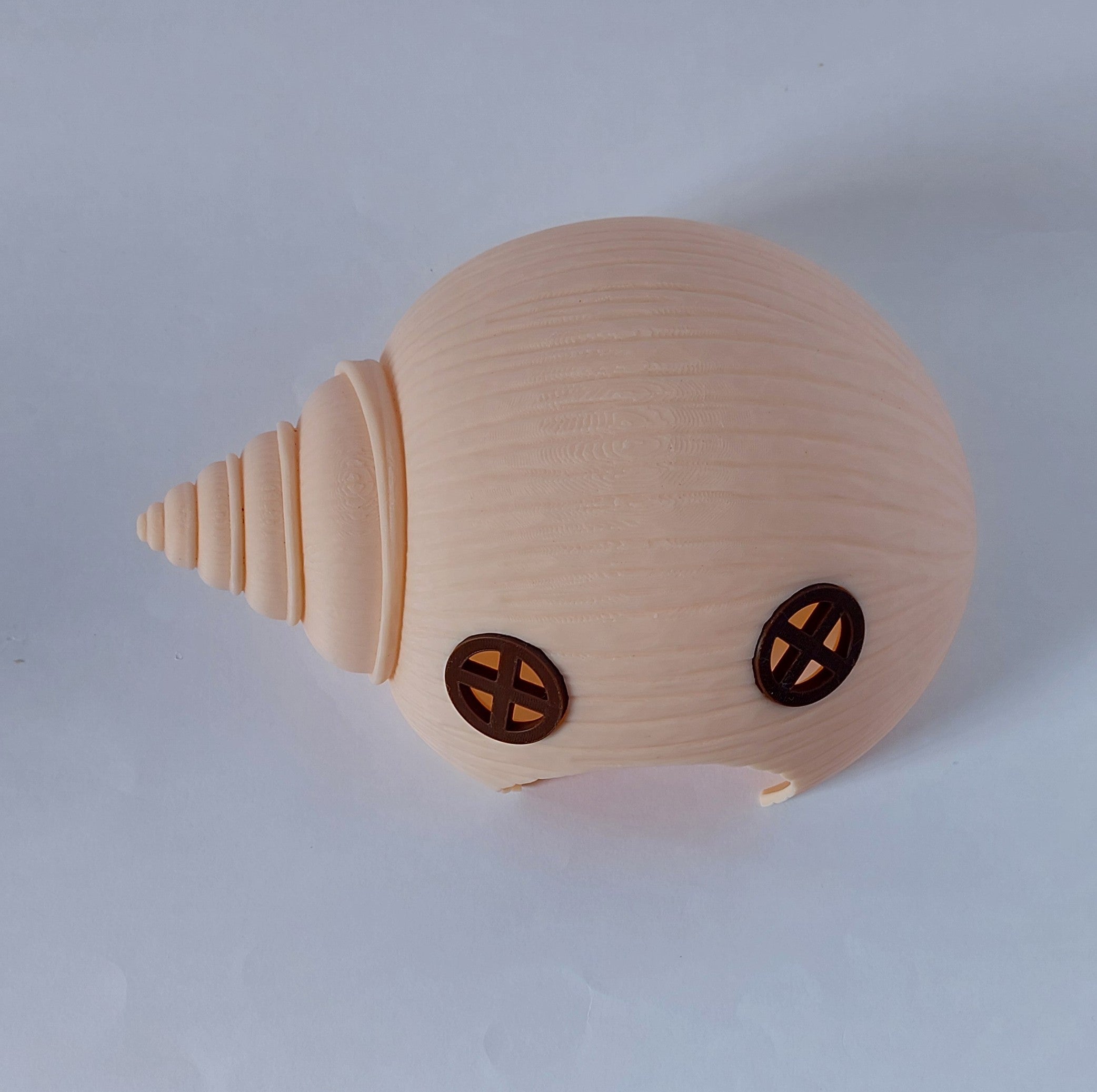 Seashell small animal hide