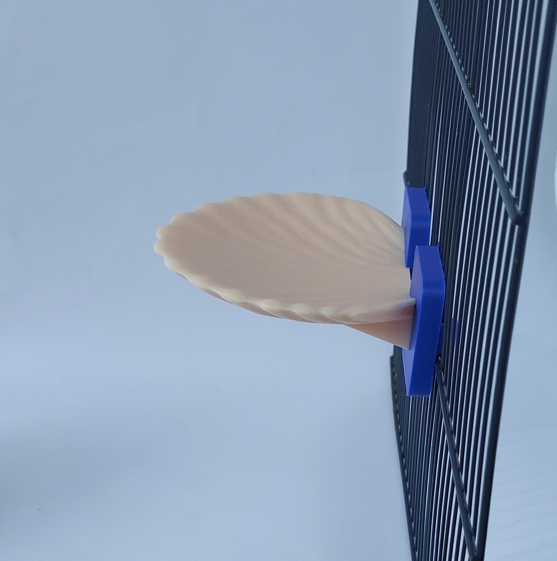 Seashell mounted platform