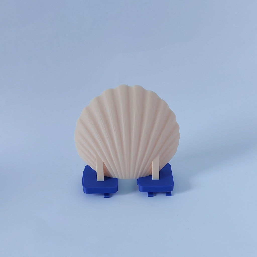 Seashell mounted platform