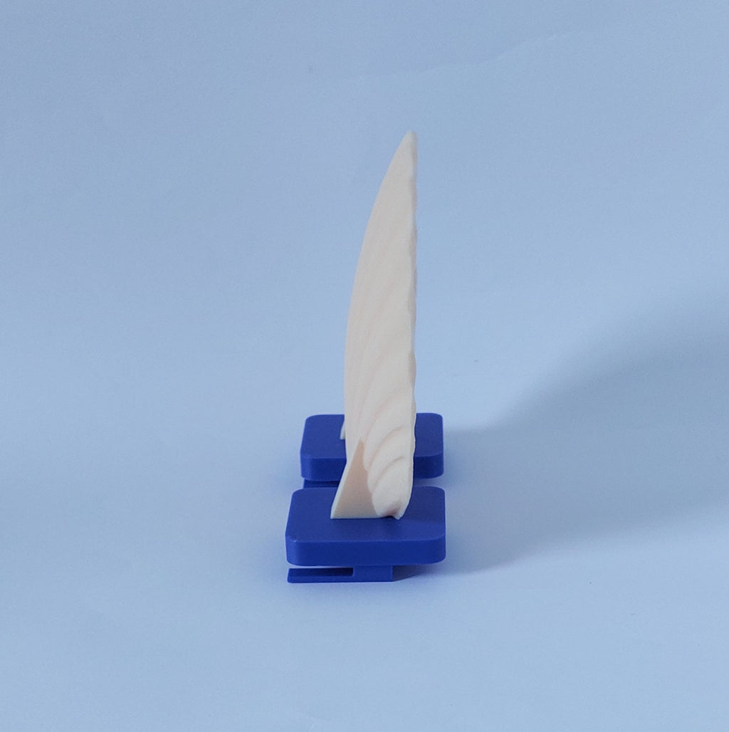 Seashell mounted platform