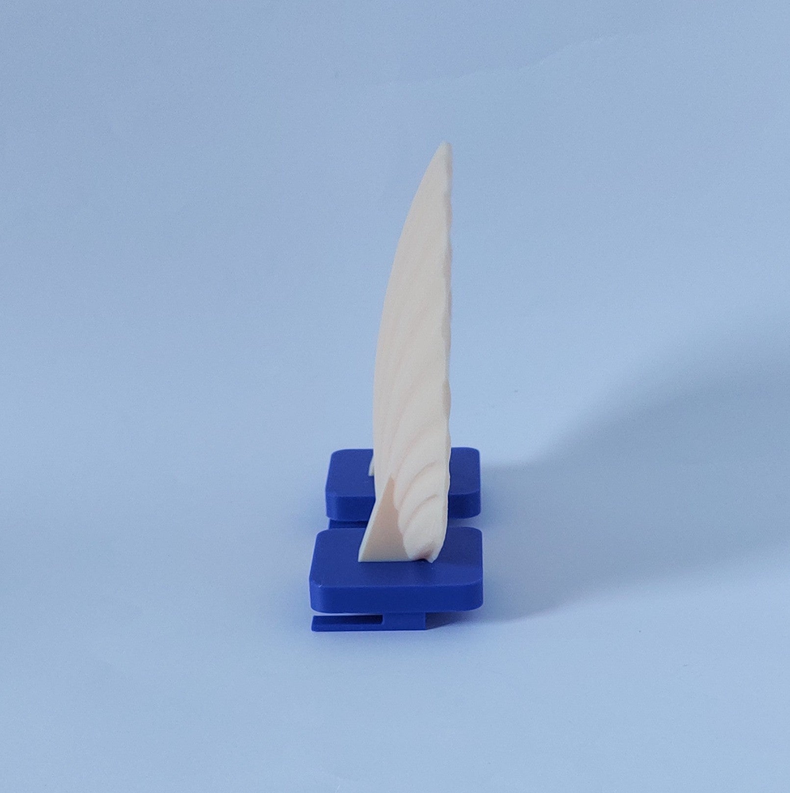 Seashell mounted platform