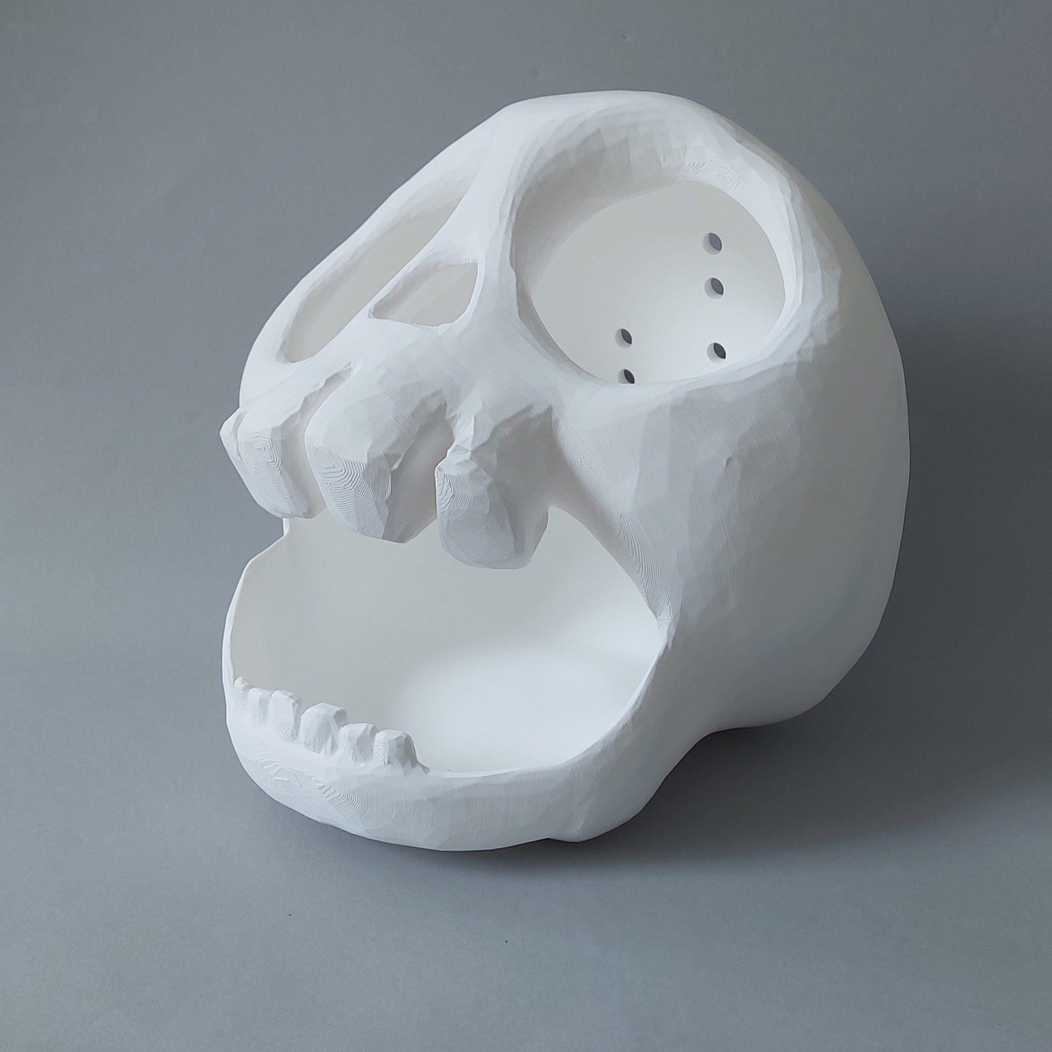 XL skull hide
