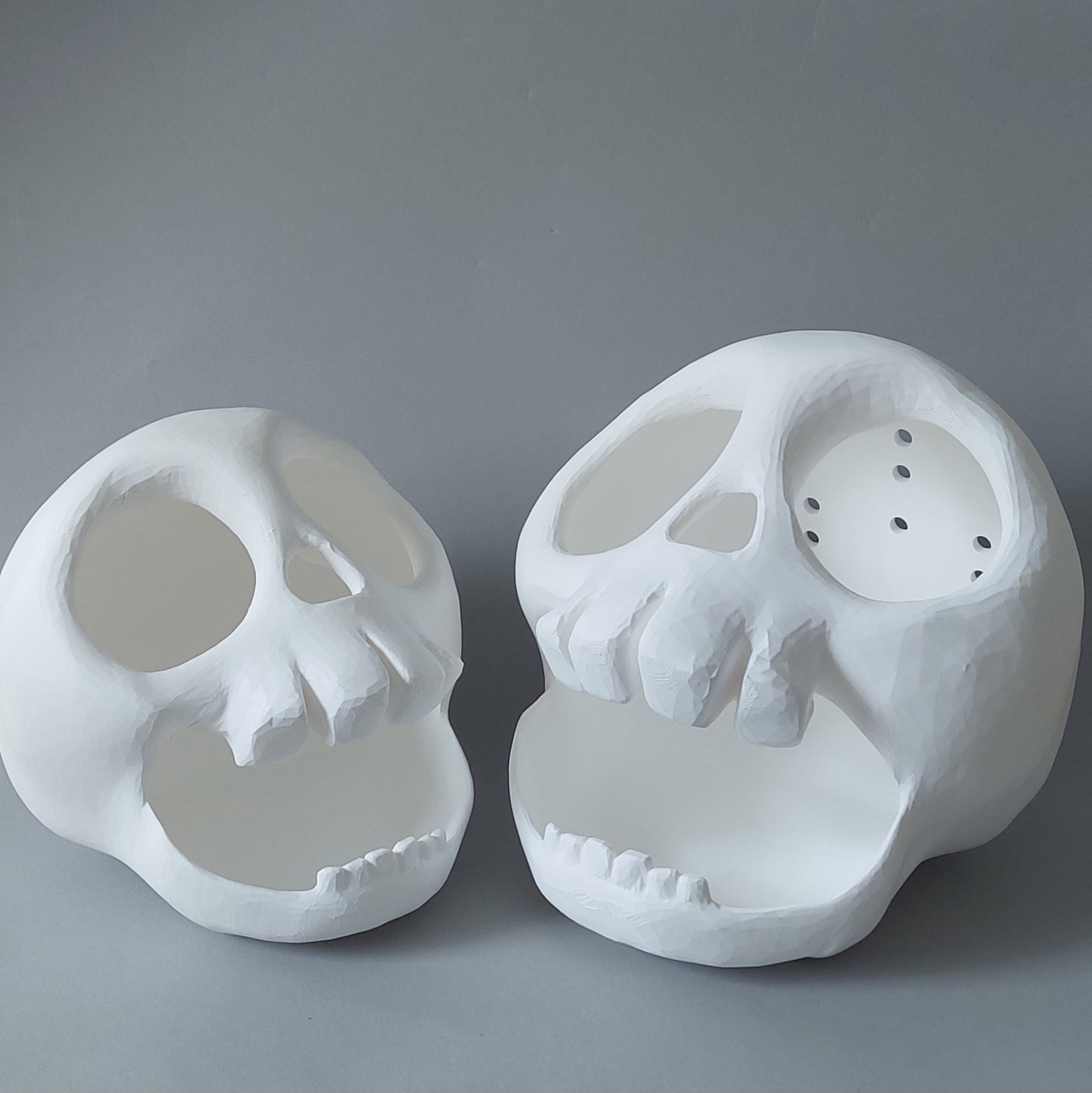 XL skull hide
