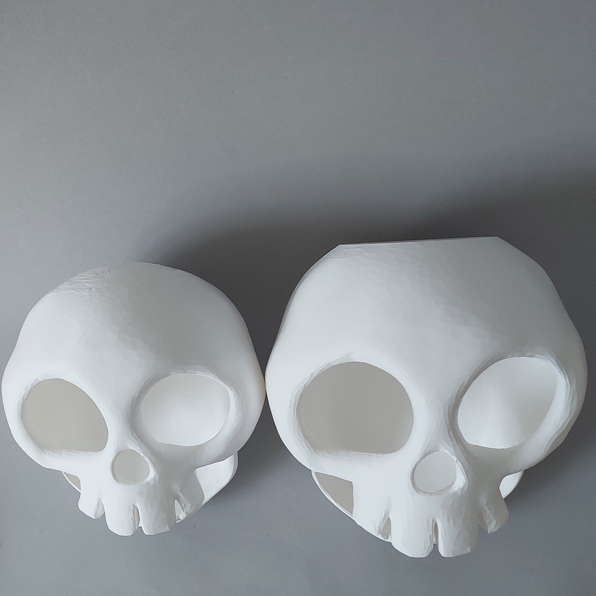 XL skull hide