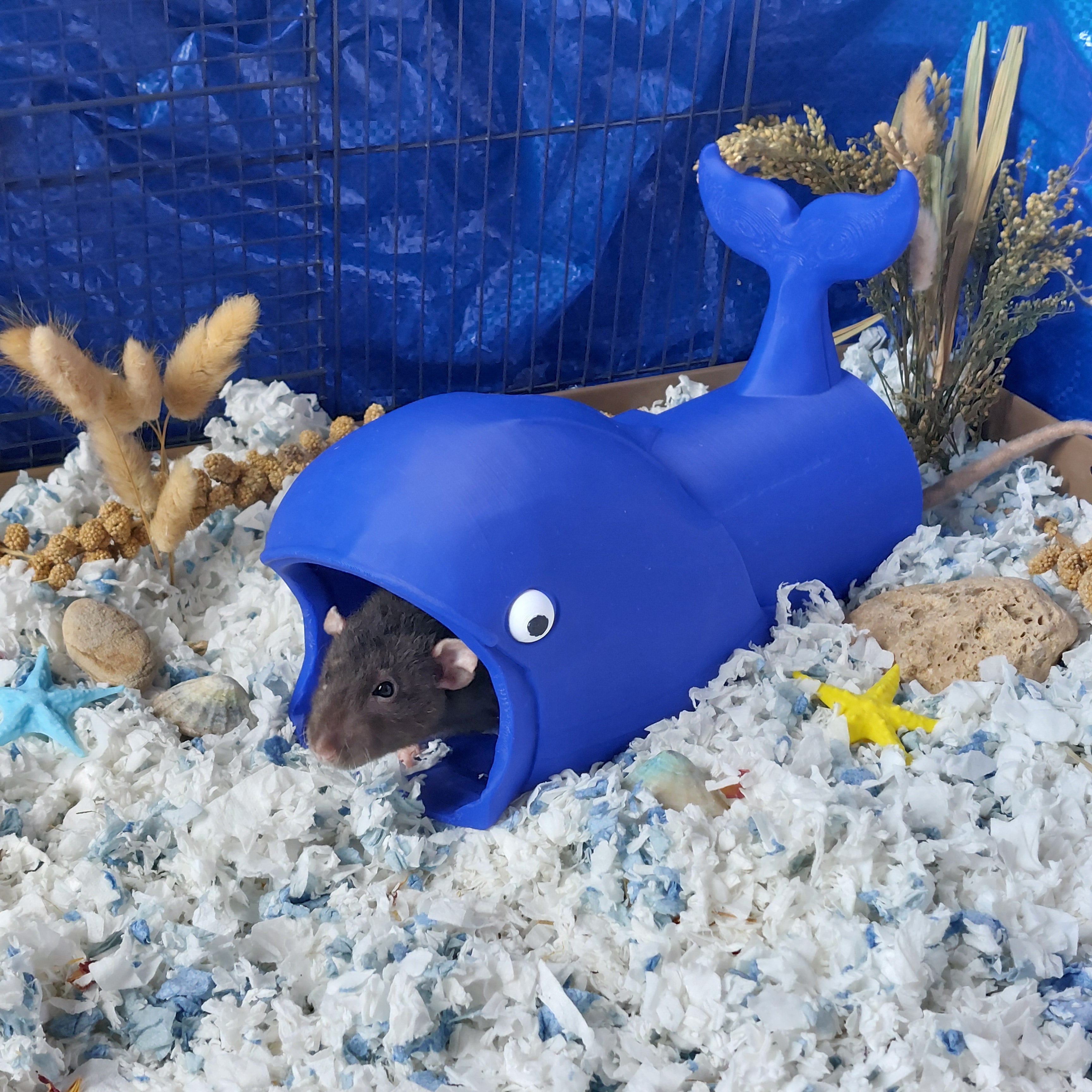 Whale mounted tunnel