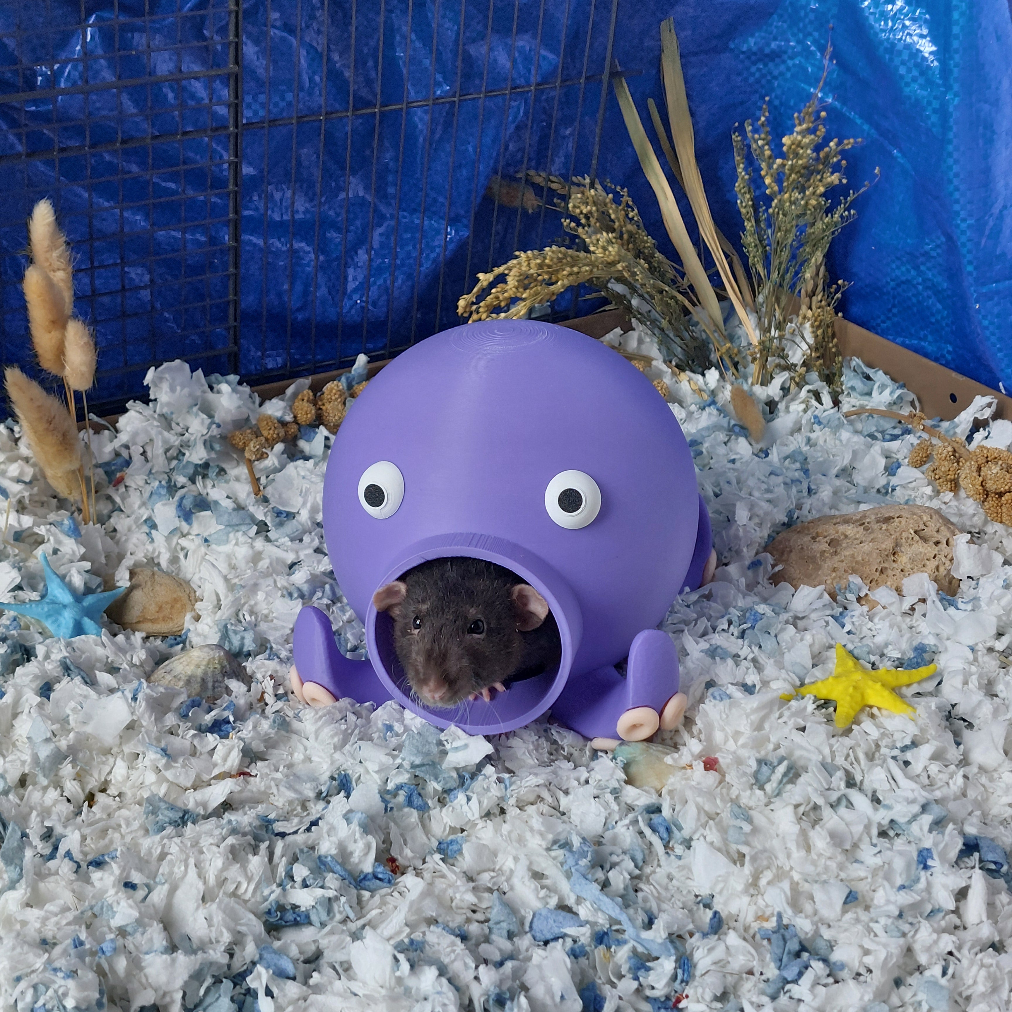 Small animal octopus hide