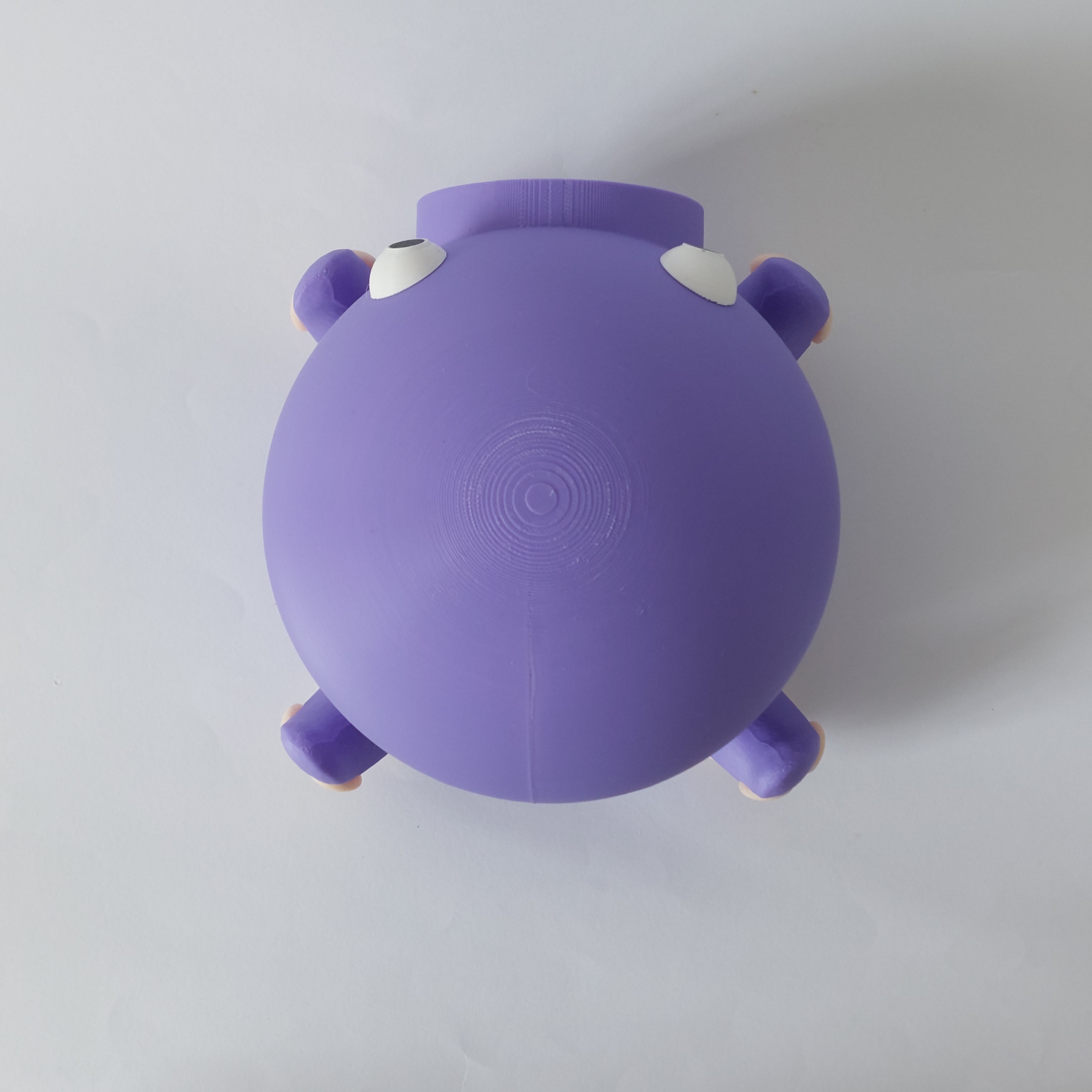 Small animal octopus hide