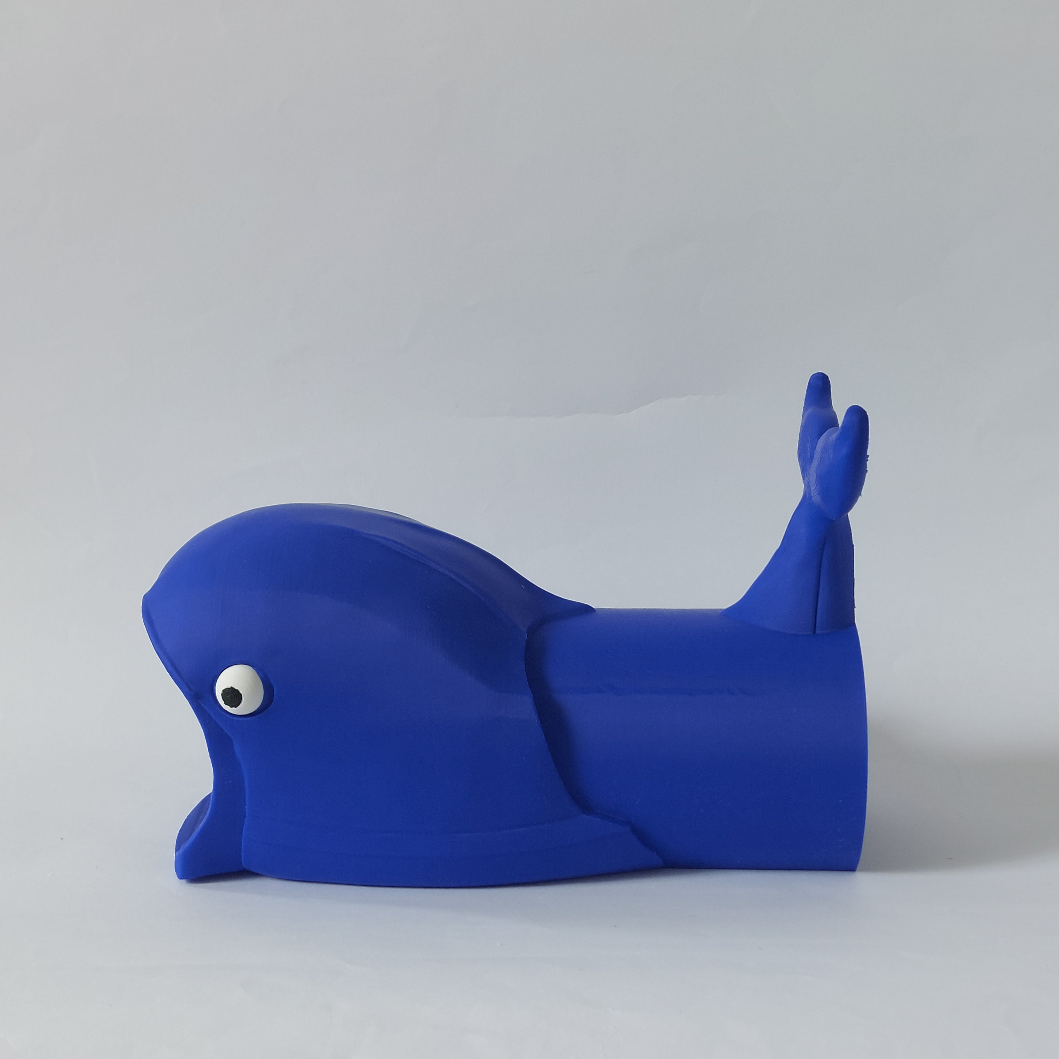 Whale tunnel
