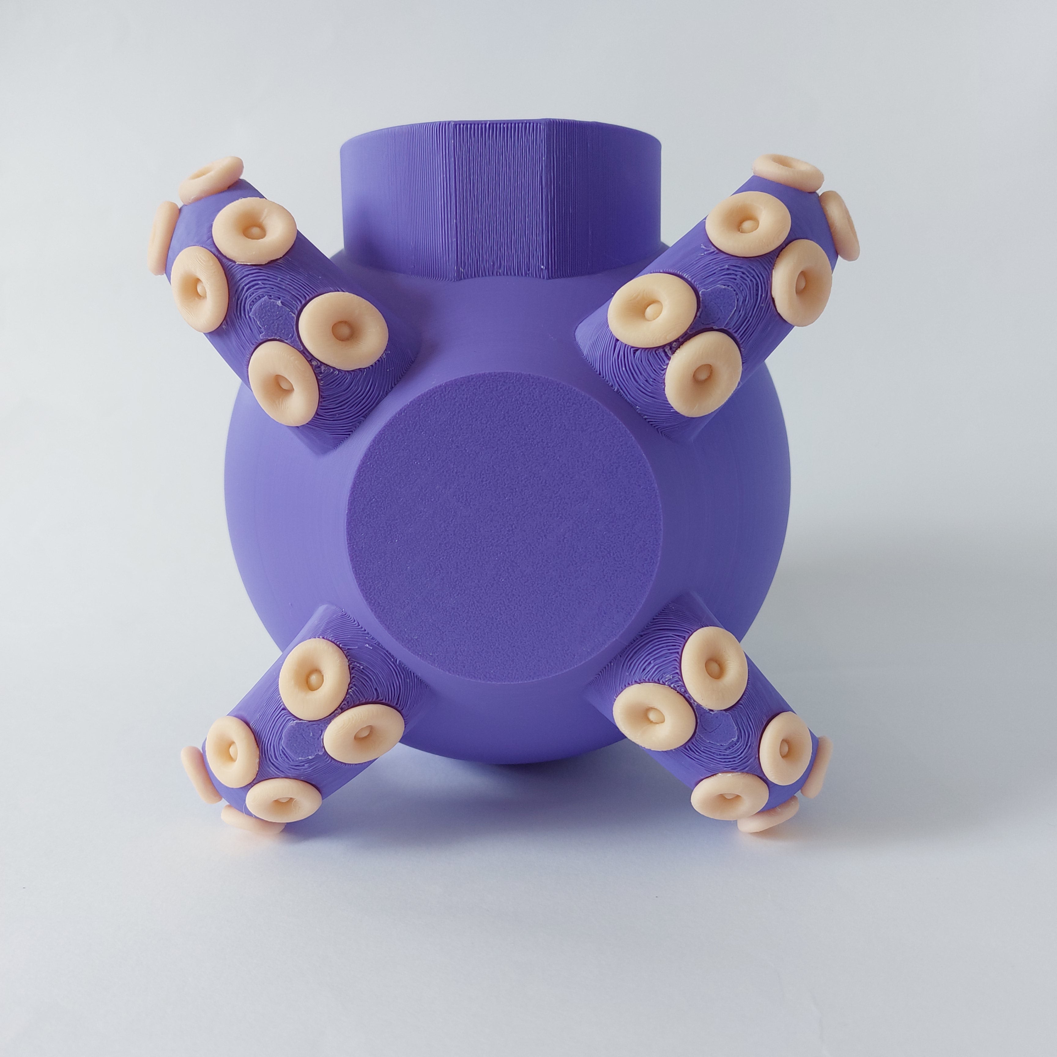 Small animal octopus hide