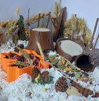 Hamster Treetop bundle