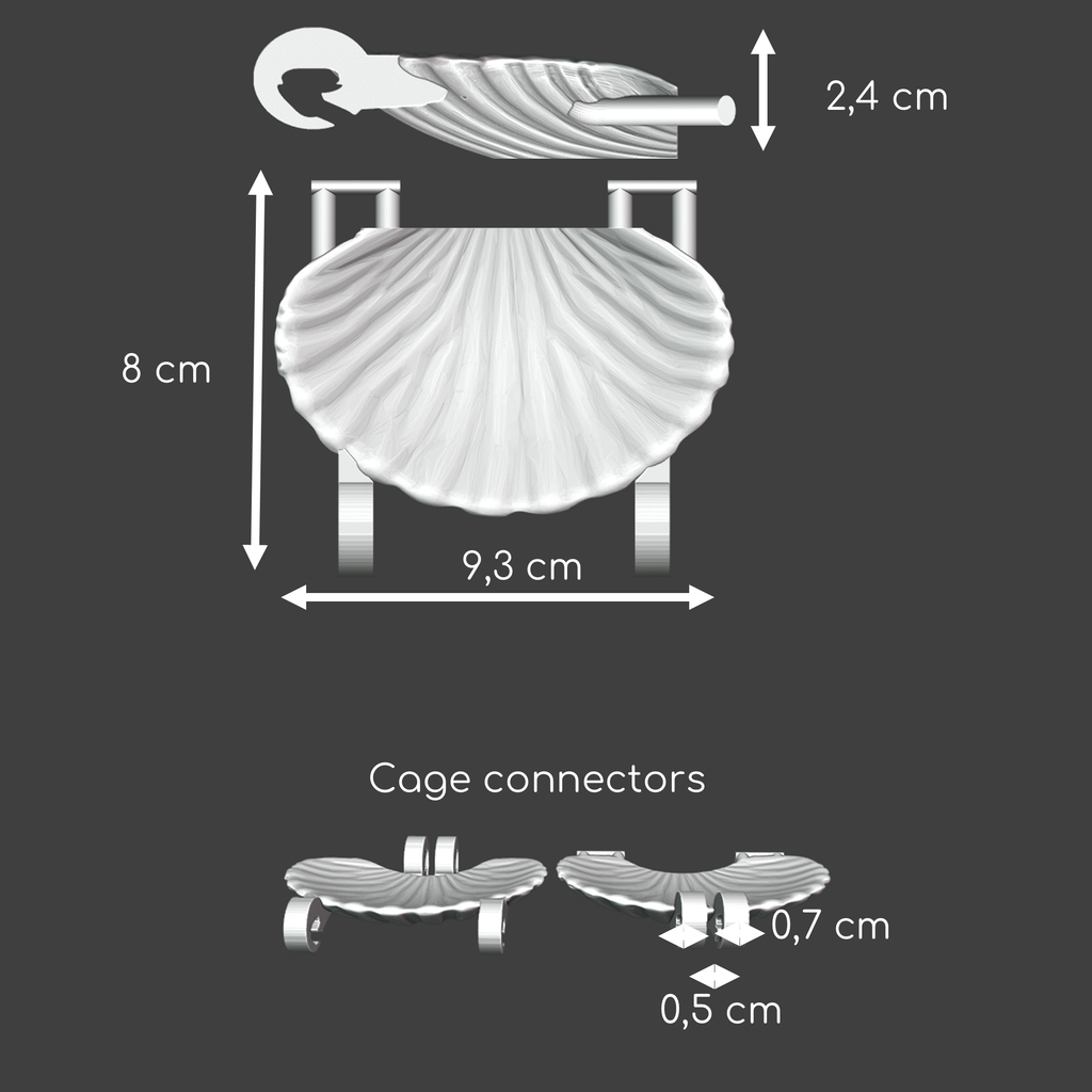 Rat seashell hanging bridge