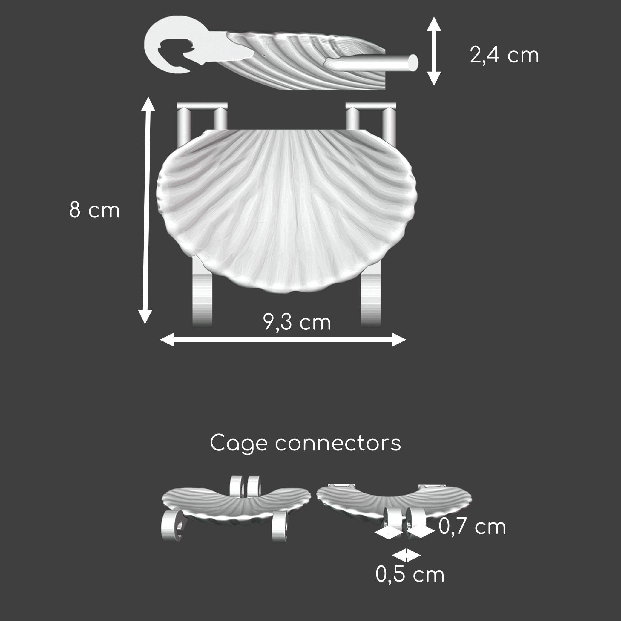 Rat seashell hanging bridge