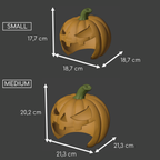 Small animal pumpkin hide