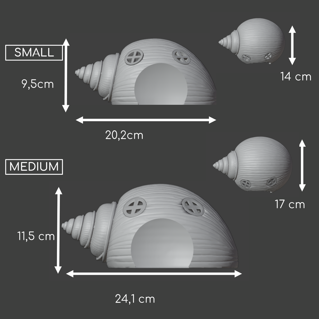 Seashell small animal hide