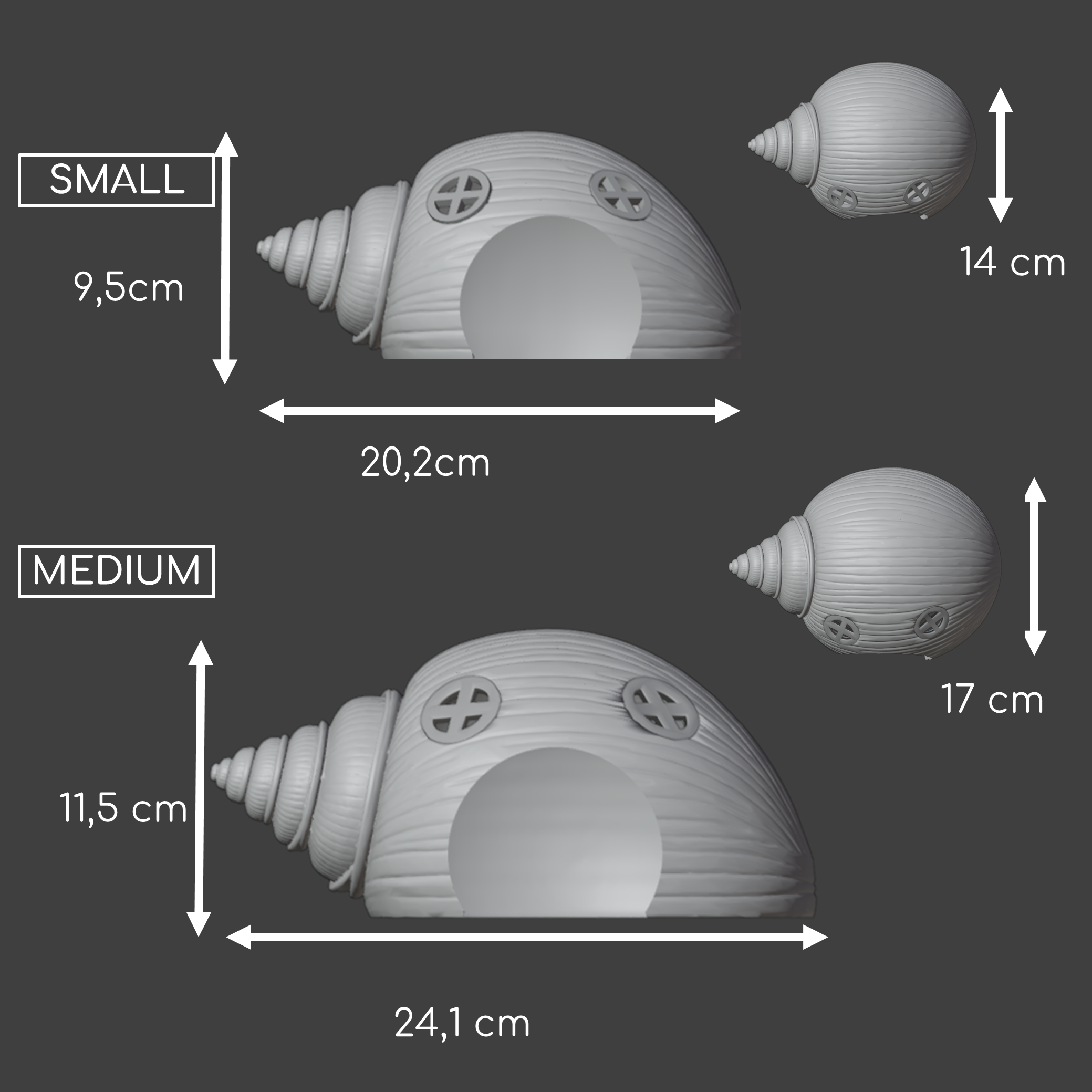 Seashell small animal hide