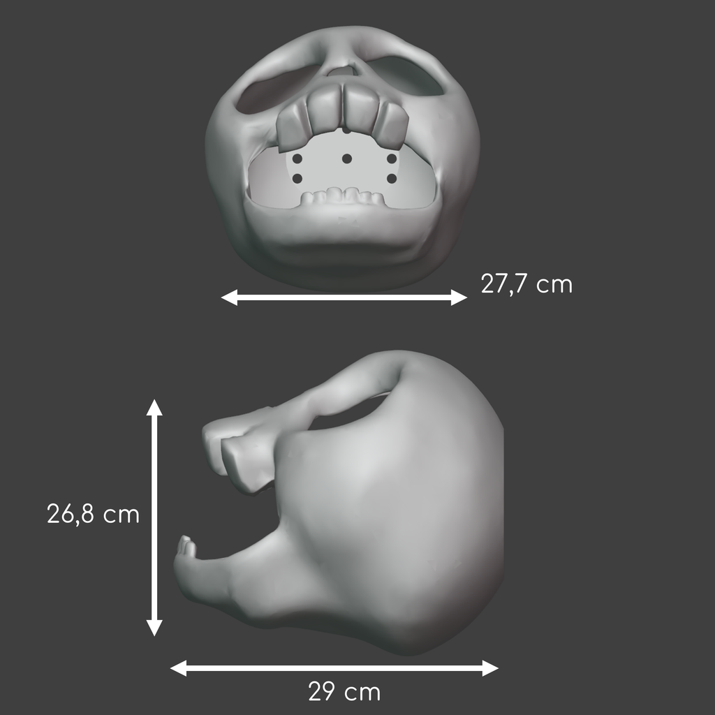 XL skull hide