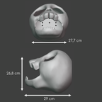 XL skull hide