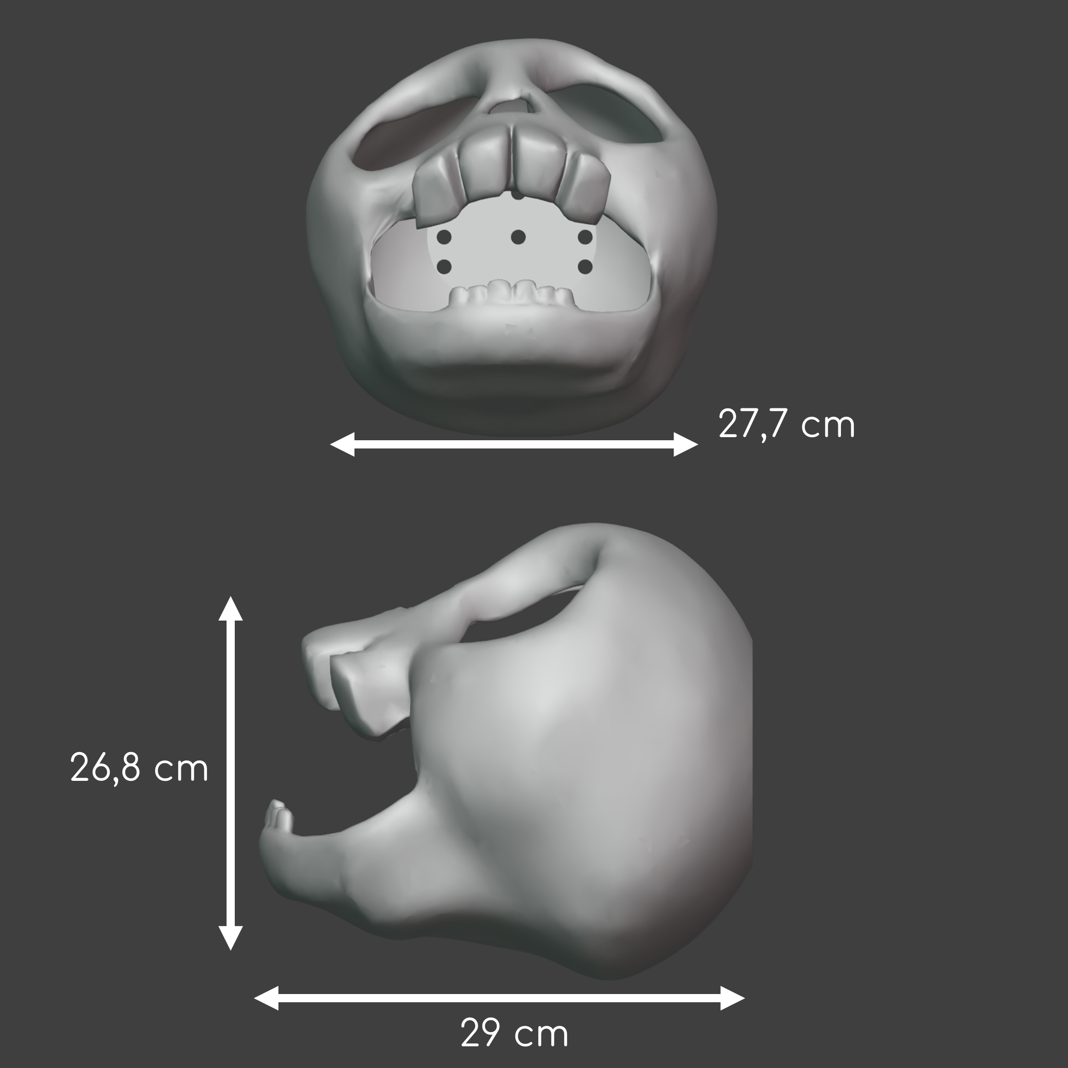 XL skull hide