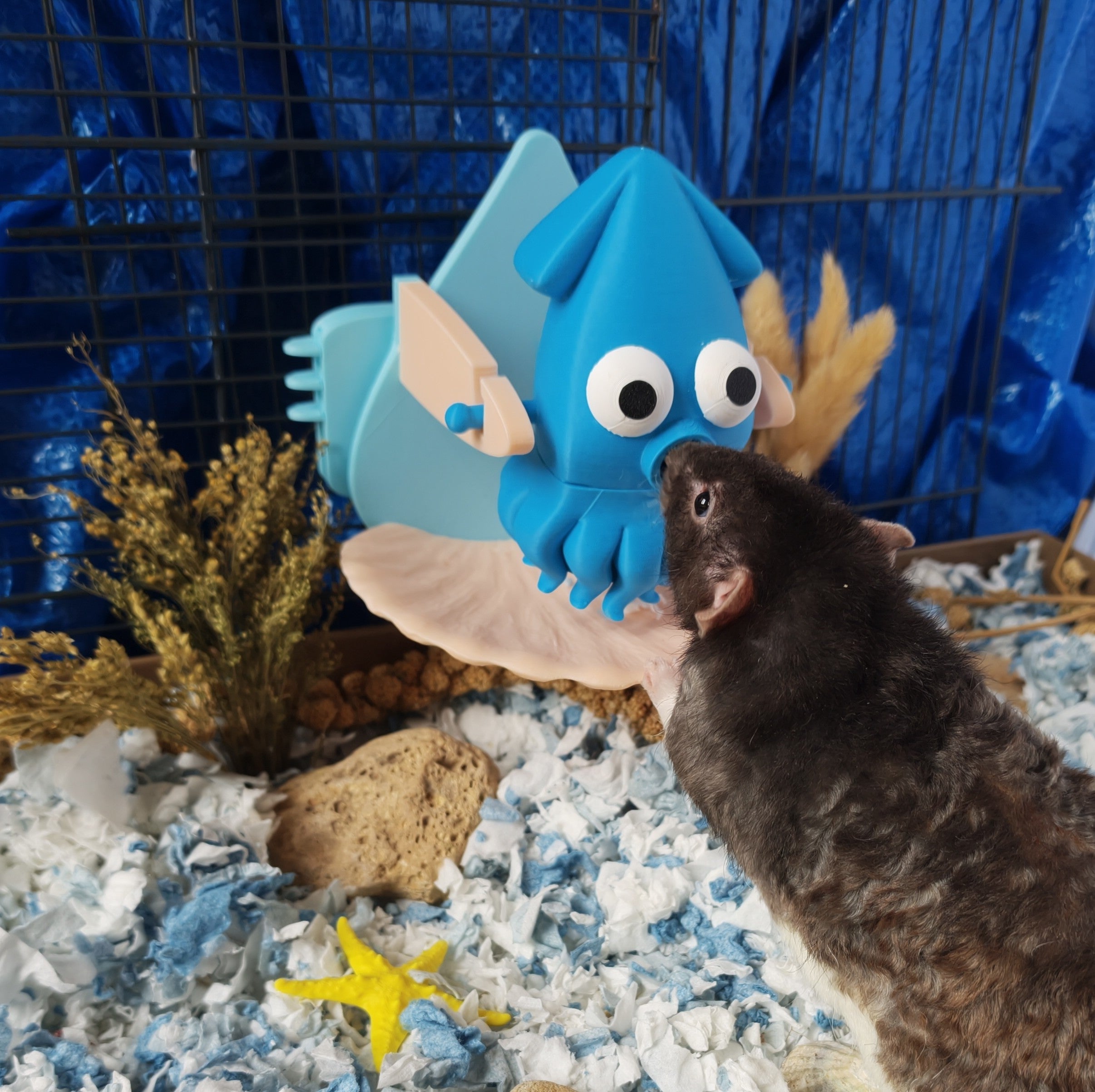 Squid foraging toy