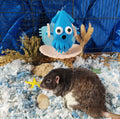 Squid foraging toy