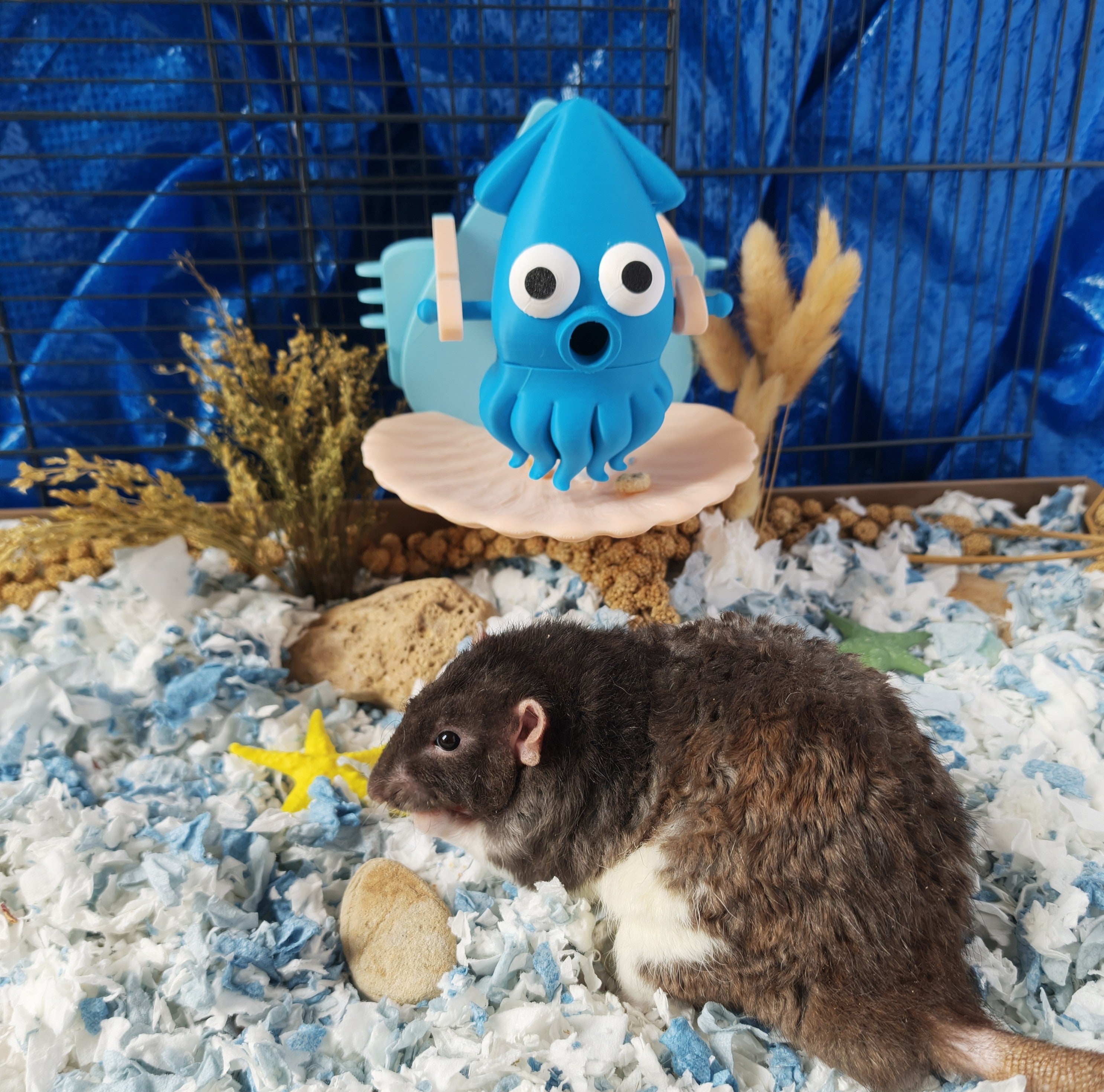 Squid foraging toy