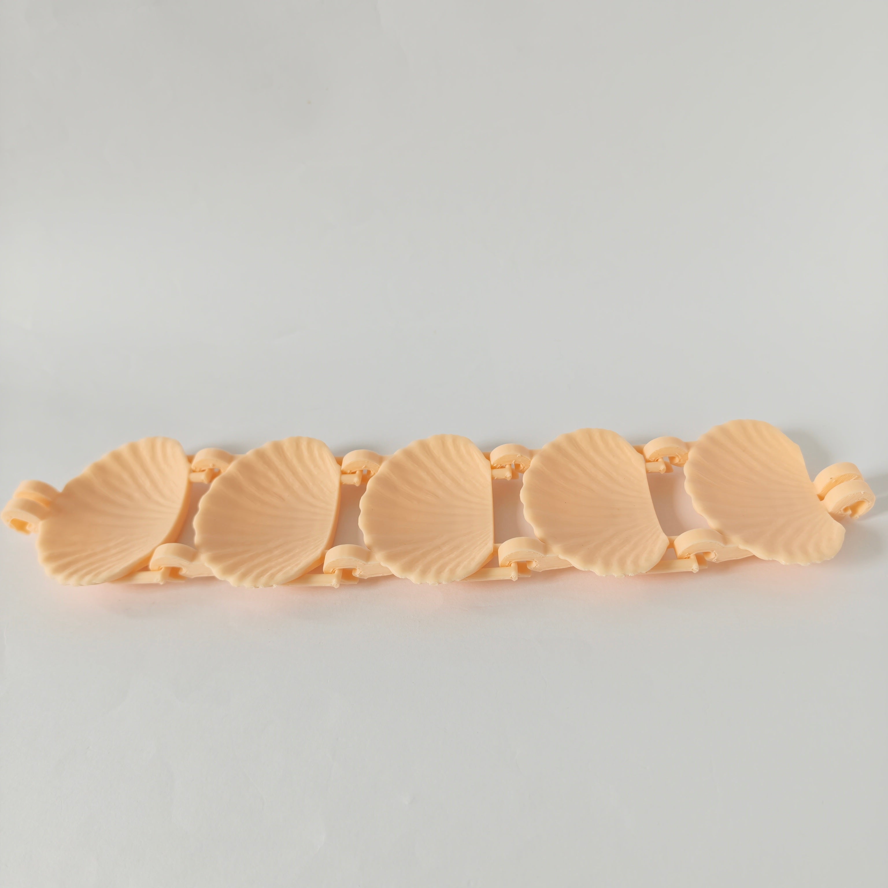 Rat seashell hanging bridge
