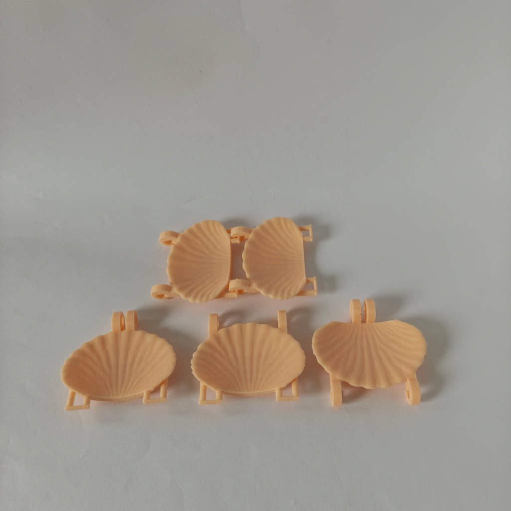 Rat seashell hanging bridge
