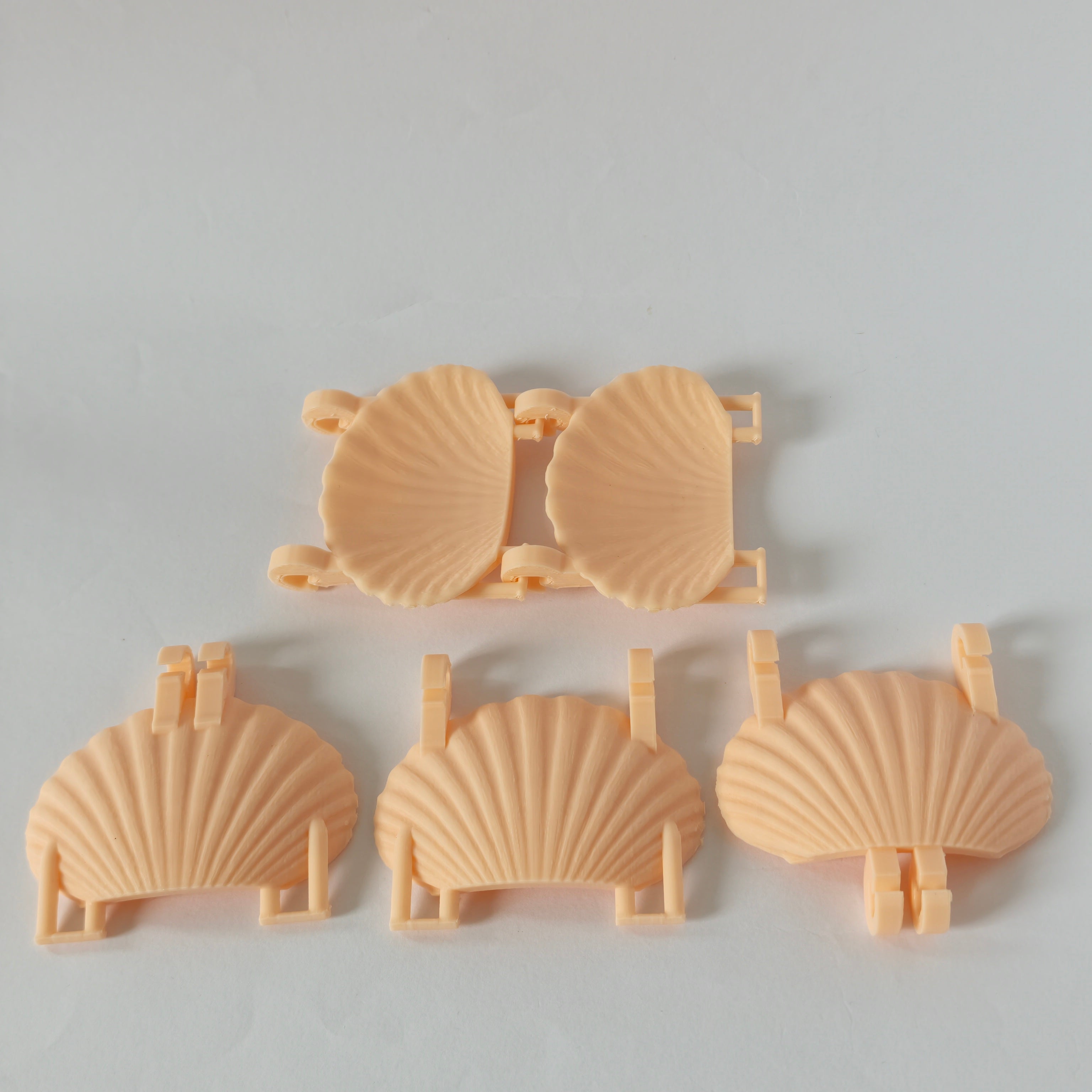 Rat seashell hanging bridge