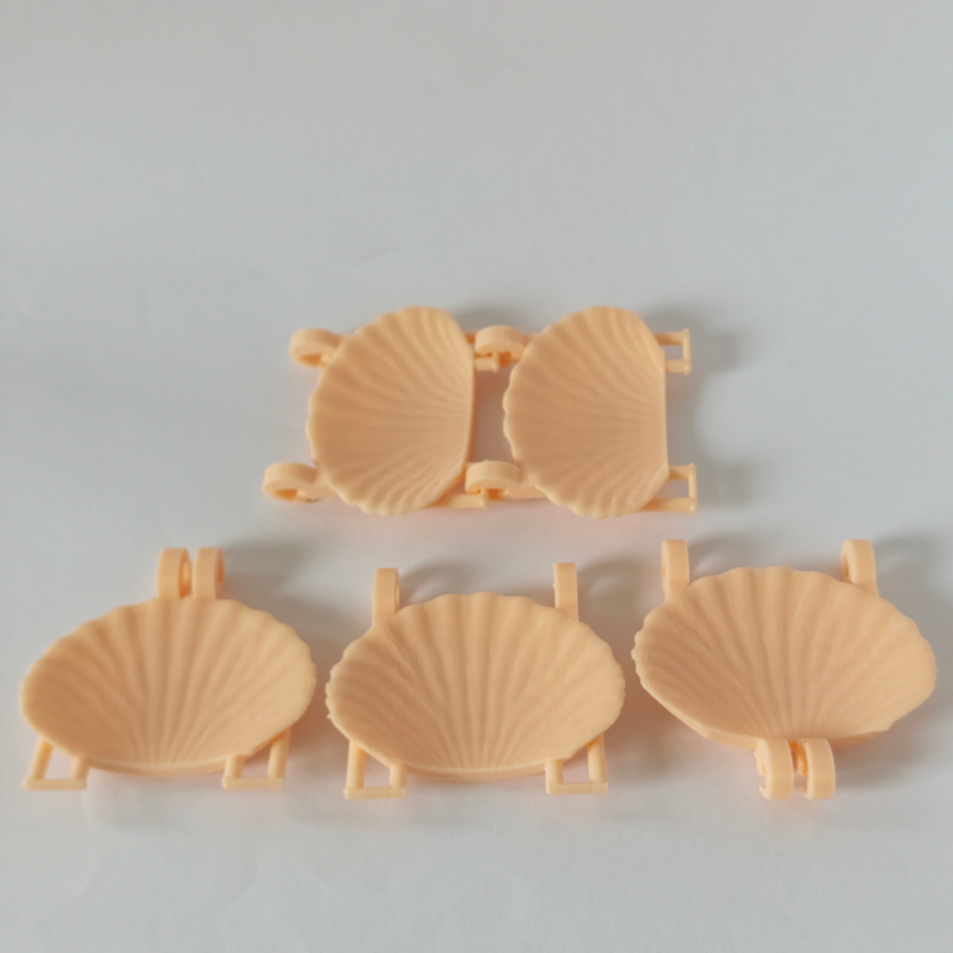 Rat seashell hanging bridge