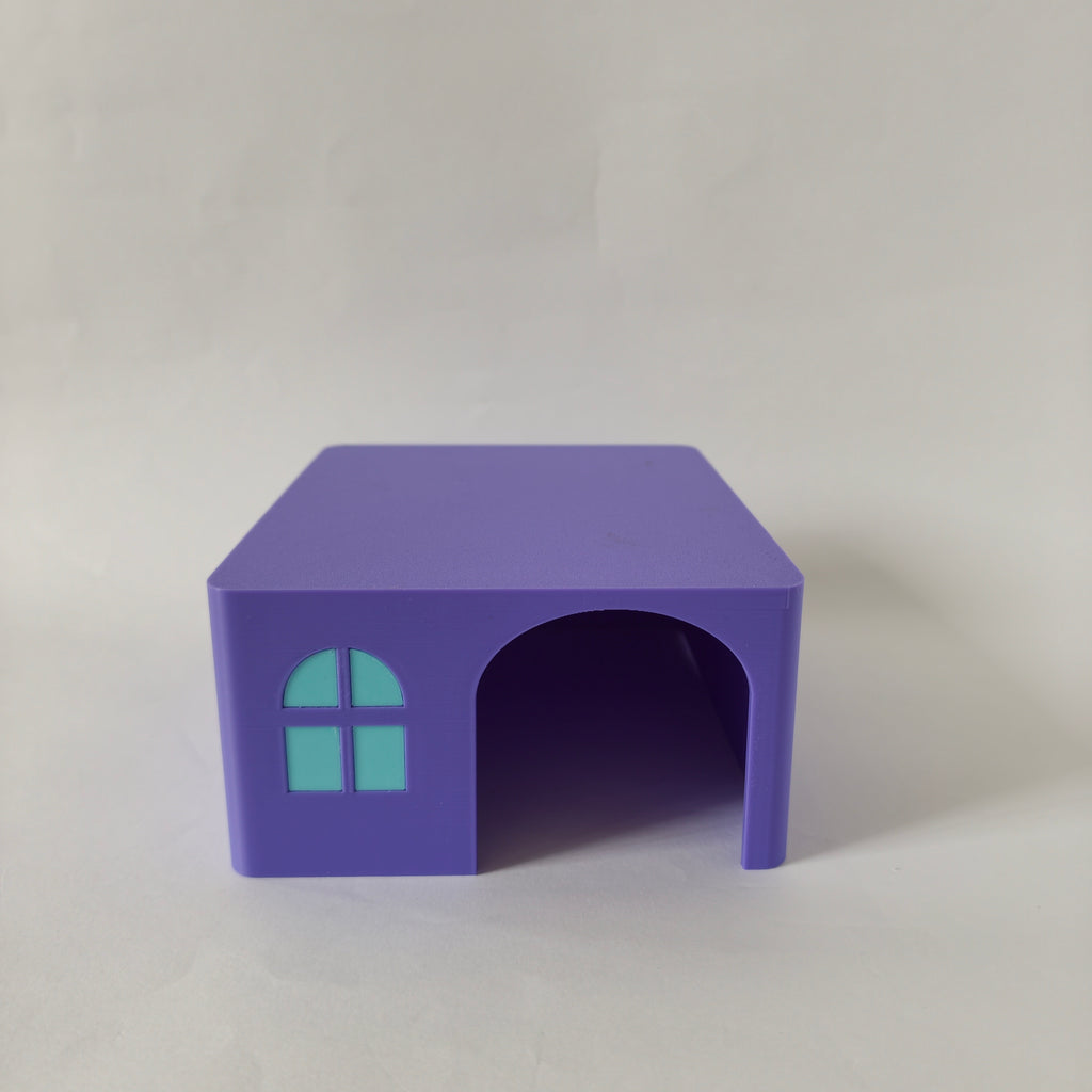 Hamster starter bundle