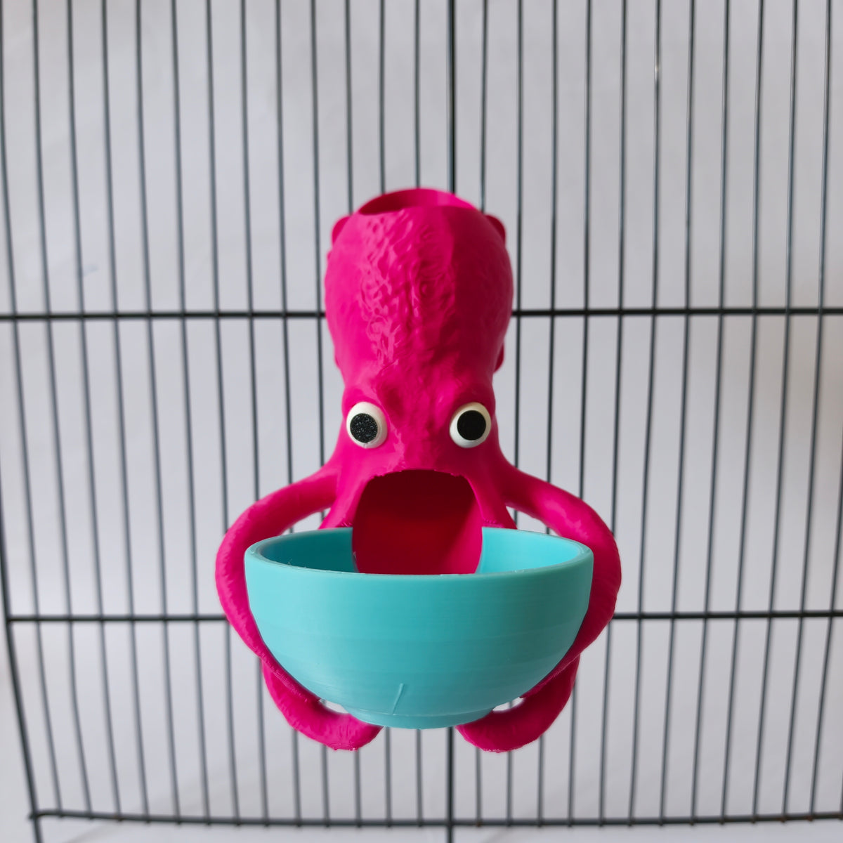Octopus feeder
