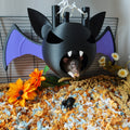 Bat hanging hide