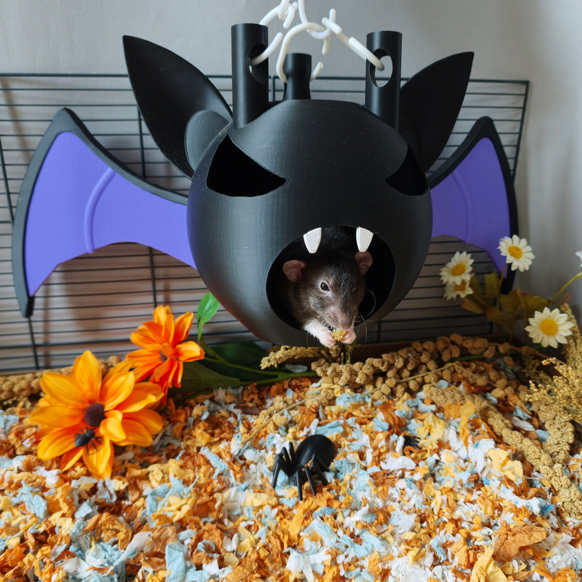 Bat hanging hide