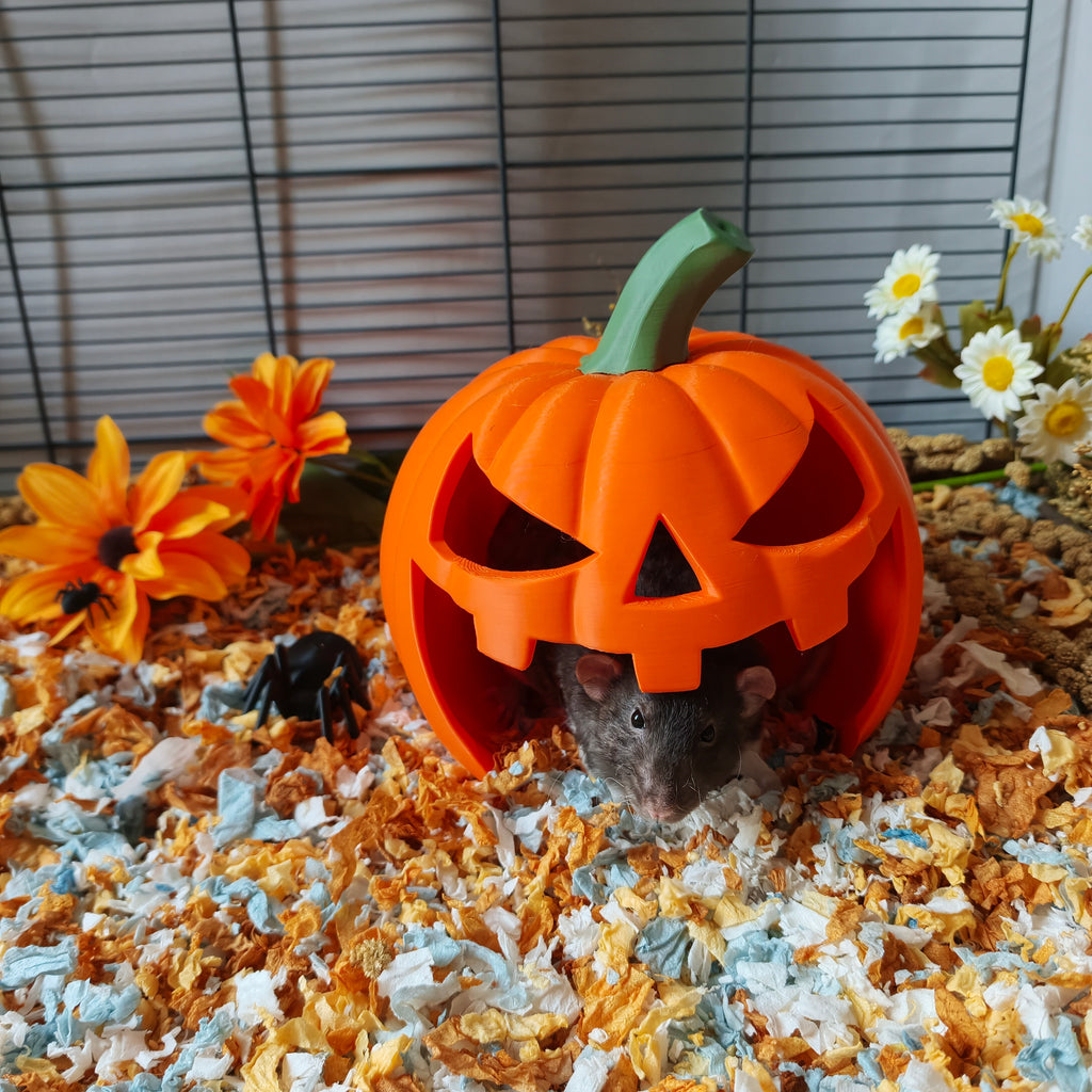 Small animal pumpkin hide